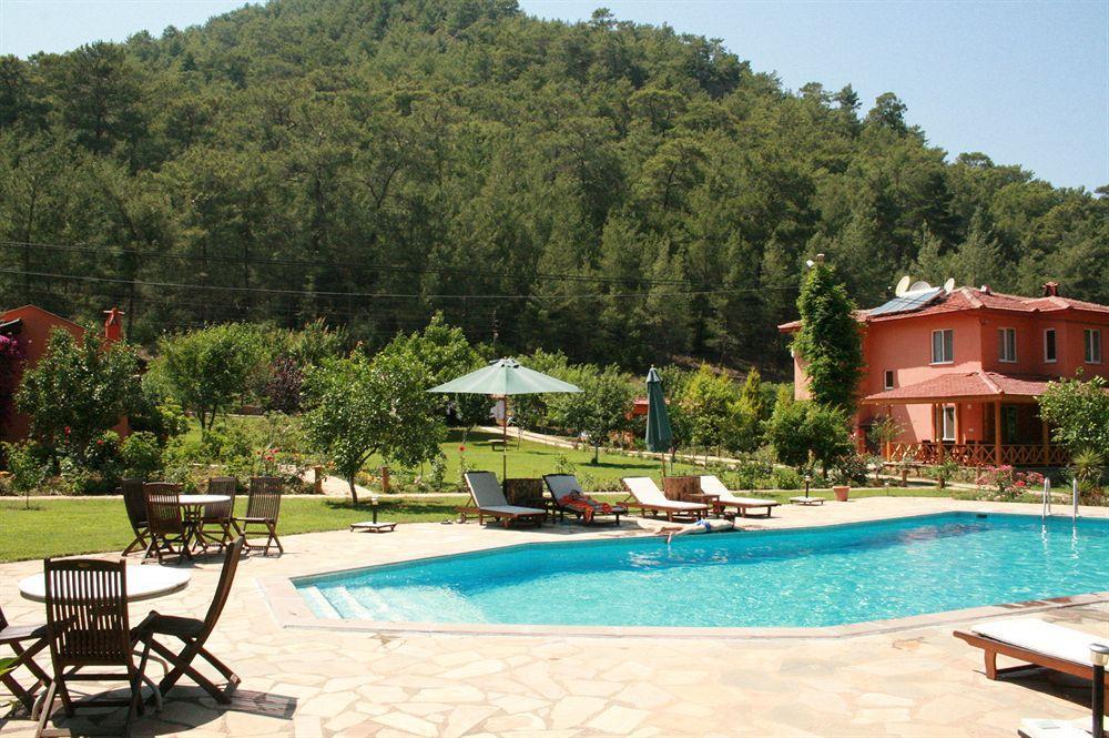 Dalya Life Hotel Гьочек Съоръжения снимка